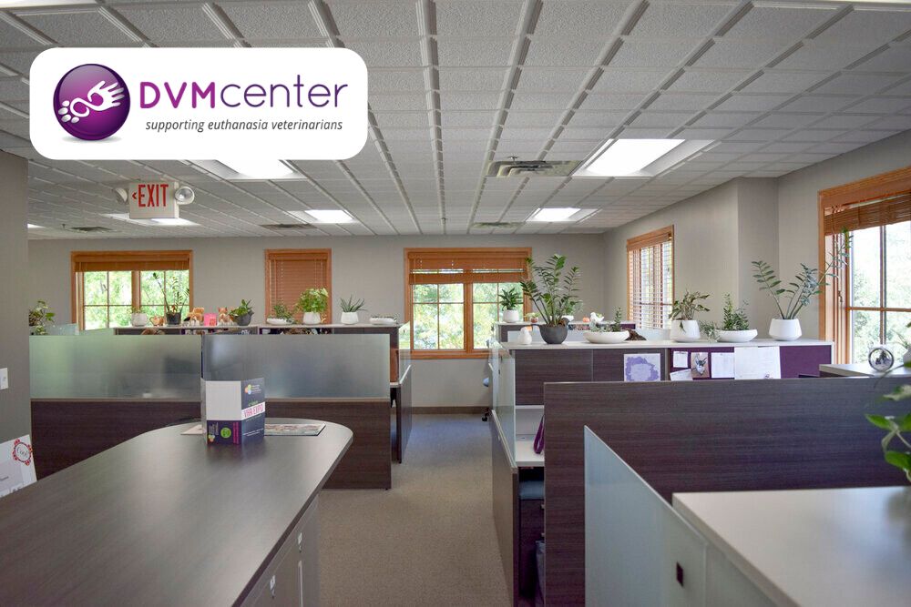 DVM Center